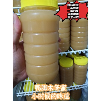 鴨腳木蜂蜜 冬蜜一件代發 農家蜂蜜供應批發 土蜂蜜 冬蜜鵝掌柴花