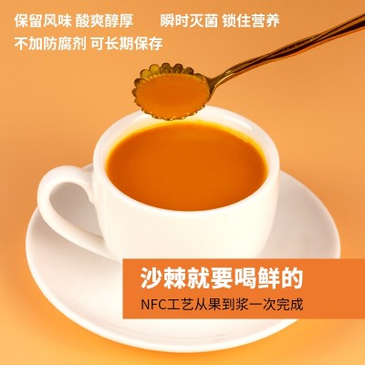 100%沙棘原漿 750ml袋裝 含果油沙棘果汁批發(fā)代理沙棘汁 一件代發(fā)