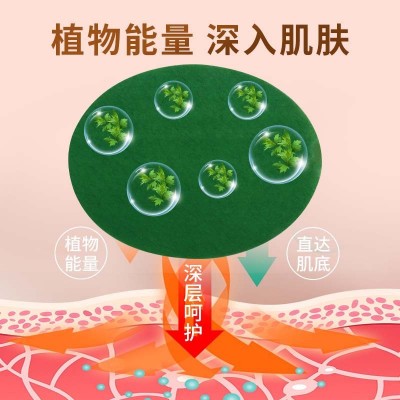 國藥天目湖艾腰貼 艾草美腰貼艾草貼溫灸熱敷貼 艾灸貼艾腰貼批發