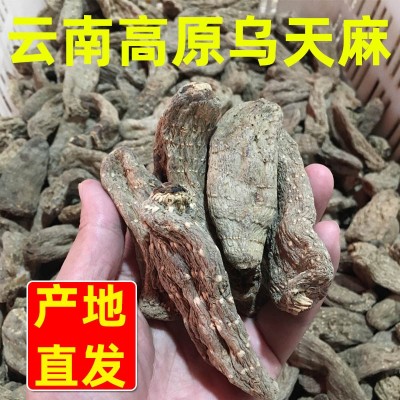 天麻云南昭通小草壩天麻整個天麻500g干天麻片可代磨粉