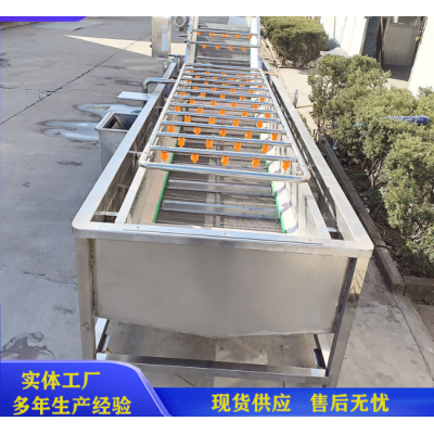 藍(lán)莓清洗機(jī)/甘肅紅棗清洗機(jī)