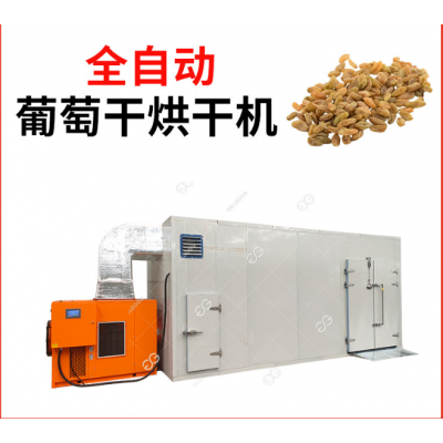 葡萄干干燥設備_干燥設備_凱航干燥