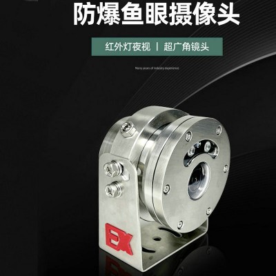 ZAJS400防爆監(jiān)視器