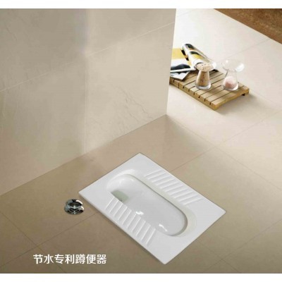 一生水節水蹲便器