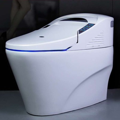 和佳庭一體式智能坐便器1101智能馬桶無水壓限制廠家**