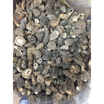 深圳上海北京羊肚菌干貨配送/羊肚菌凍貨批發(fā)零售