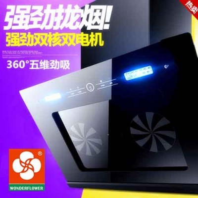廠家批發雙電機雙抽吸油煙機側吸式鋼化玻璃家用廚房吸油煙機