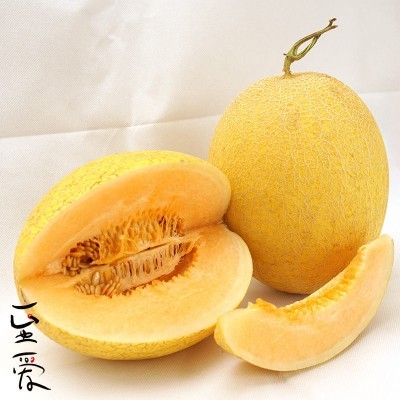 新疆吐魯番新品 至愛蜜瓜 陸地瓜2個/箱 6-7斤 德邦空運