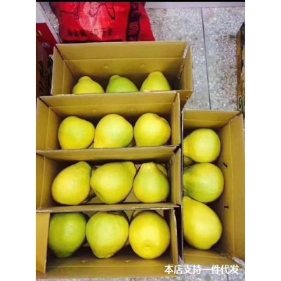 廣西蜜柚新鮮柚子