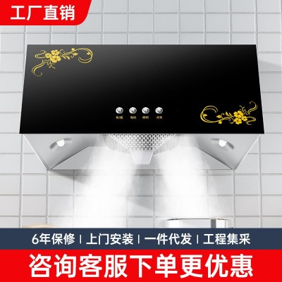 安迪家同款油煙機(jī)