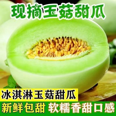 玉菇甜瓜現(xiàn)摘南匯玉菇甜瓜山東玉姑蜜瓜香瓜脆瓜應(yīng)季水果斤包郵