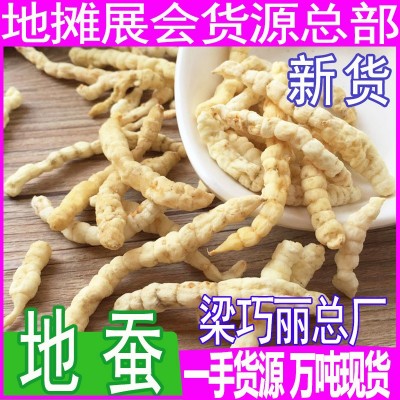 白蟲草 土冬蟲草 地石蠶地蠶 蟲草參地蟲草草石蠶地蠶產地直批
