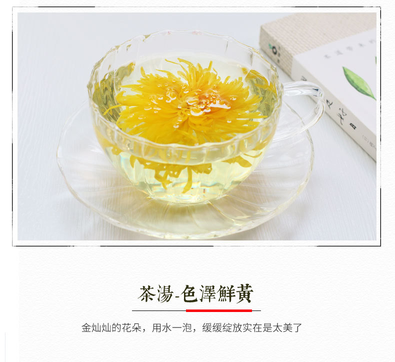 皇菊詳情_07.jpg