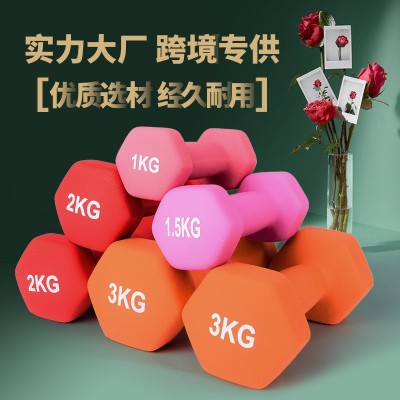 六角浸塑啞鈴 家用健身運(yùn)動器材 女士 亞玲 跨境批發(fā)代發(fā)