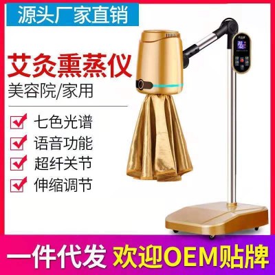 艾灸儀器家用美容院熏蒸儀電子艾灸儀溫灸儀艾灸輔療儀器艾熏蒸儀