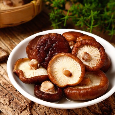 干香菇肉厚無根東北特產東北干香菇小雞燉蘑菇金錢菇食用菌批發