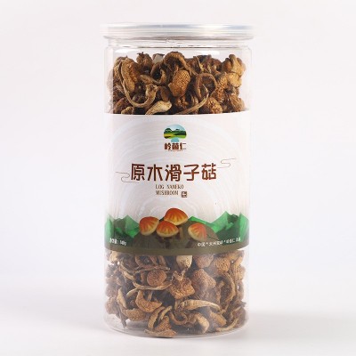 東北滑子菇 黑龍江特產肉厚干貨罐裝420g小黃蘑 食用菌菇干貨蘑菇