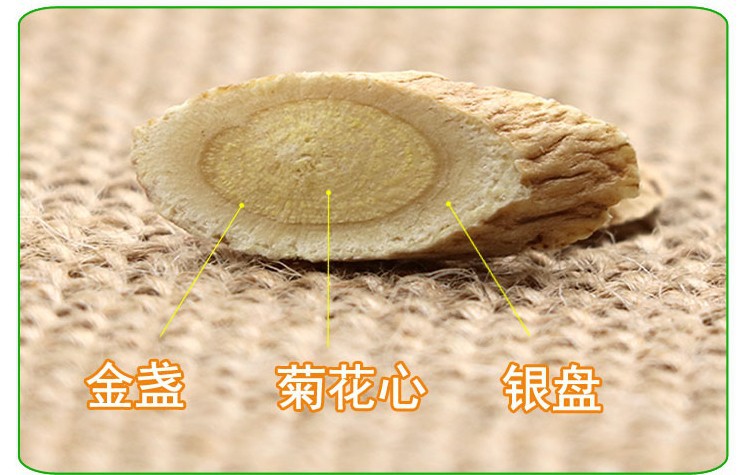 黃芪7