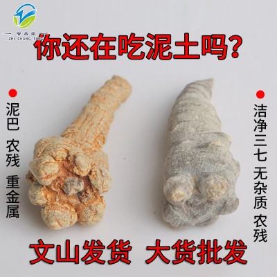 廠家批發去皮三七20頭30頭潔凈三七田七云南文山三七頭代打三七粉