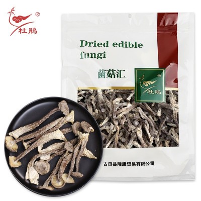福建古田特產(chǎn)鹿茸菇干貨500g袋裝食用菌廠家精品批發(fā)干菌菇鹿茸菌