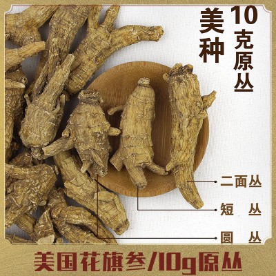 美國花旗參【10g】原叢西洋參威斯康辛州美種規格貨 切片廠家批發