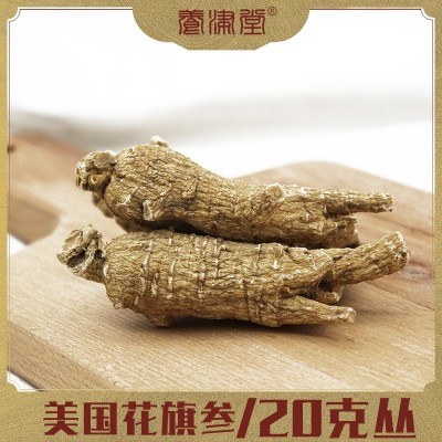 美國花旗參20g原叢西洋參威斯康辛州美種 規格貨 可切片 廠家批發