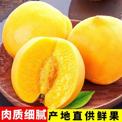 錦繡黃桃現摘現發應季水果毛桃黃桃水蜜桃冬桃果園直發