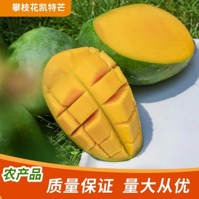 四川攀枝花凱特大芒果10斤批發新鮮水果整箱應當季熱帶特大果