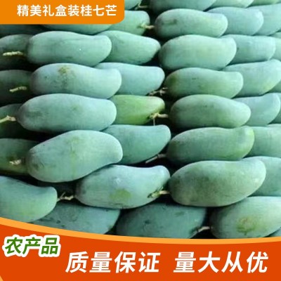 廣西百色桂七芒果新鮮當季熱帶水果青芒禮盒果園直發