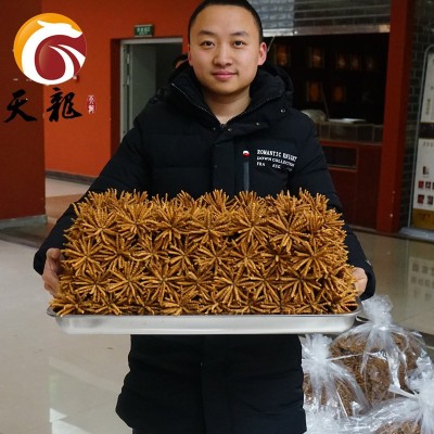 西藏冬蟲夏草4000條 多規格綜合接鏈 單品10克起售