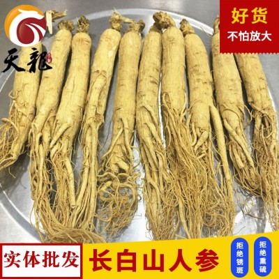 人參吉林長白山原皮參 各規格綜合鏈接