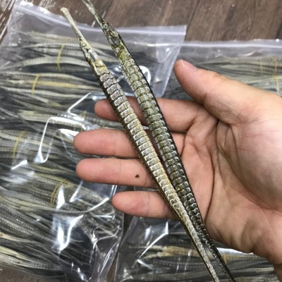 225頭批發六角大海龍干貨四角海龍海產品泡酒養生中藥材料500g