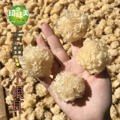 古田小銀耳 白木耳 非椴木 銀耳 特產干貨 桃膠雪燕雪耳 糯耳