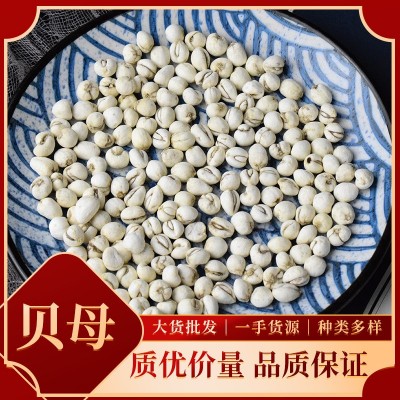 中藥材大貨貝母 川貝母平貝母規格齊全多樣產地直供批發零售代發