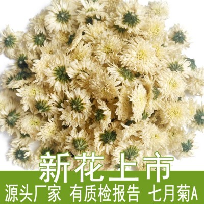23年新花安徽白菊花散裝批發500g七月菊產地貨源廠家黃山貢菊花茶