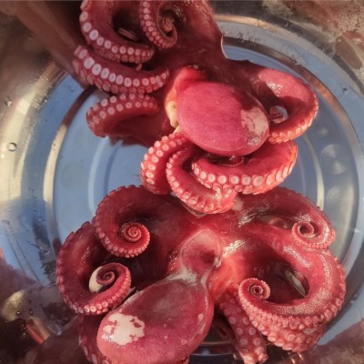 凍煮大章魚刺身大章魚凍煮真章切片真章足海產品工廠直銷