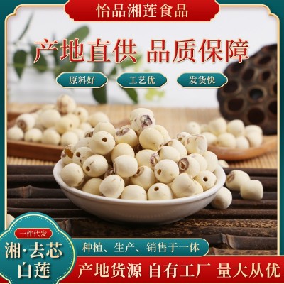 湘蓮大號磨皮去芯白蓮子 直徑1.25cm以上 現采摘白蓮干貨批發500g