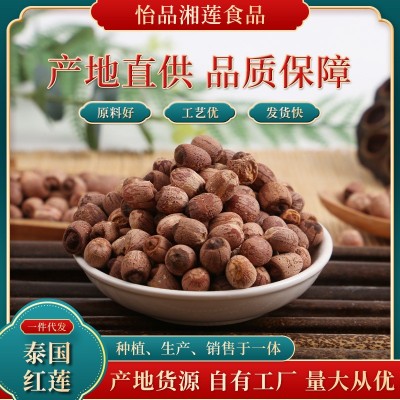泰紅蓮有芯紅蓮批發 500g袋裝帶芯紅蓮蓮肉 泰蓮紅蓮子批發14.50