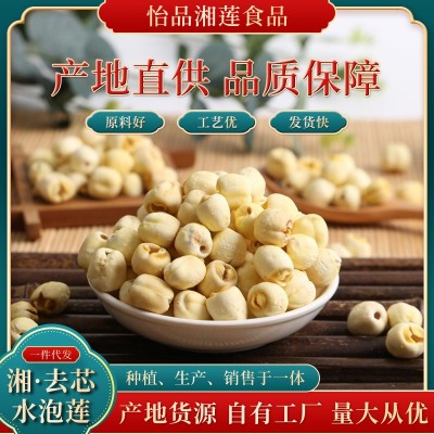 廠家直供500g超大號去皮去芯水泡蓮子新鮮去殼白蓮子干批發1.25CM
