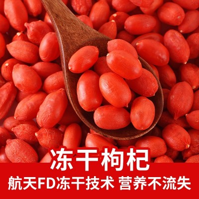 早康大顆粒鎖鮮凍干枸杞FD枸杞散裝枸杞子批發(fā)寧夏中寧枸杞源頭廠