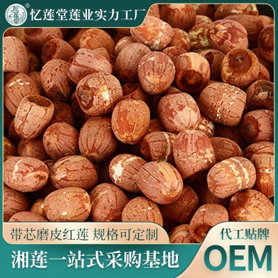 小蓮子帶芯紅蓮500g散裝帶芯紅蓮子批發量大價優產地通芯蓮子干貨