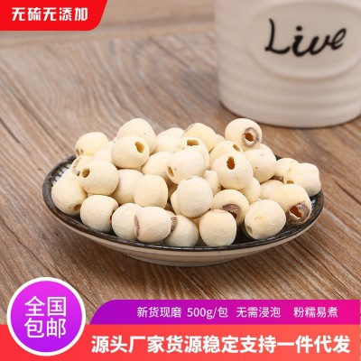 新鮮蓮子批發去芯白蓮子磨皮白蓮子500g湘蓮中藥材蓮子干貨批發