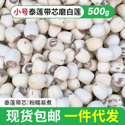 湘潭蓮子干貨新泰蓮帶芯小磨白蓮500g帶芯去皮蓮子羹煲湯白蓮子