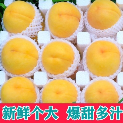 現(xiàn)摘新鮮黃桃5斤當(dāng)季新鮮桃子水果毛桃大果孕婦應(yīng)季脆甜錦繡黃桃
