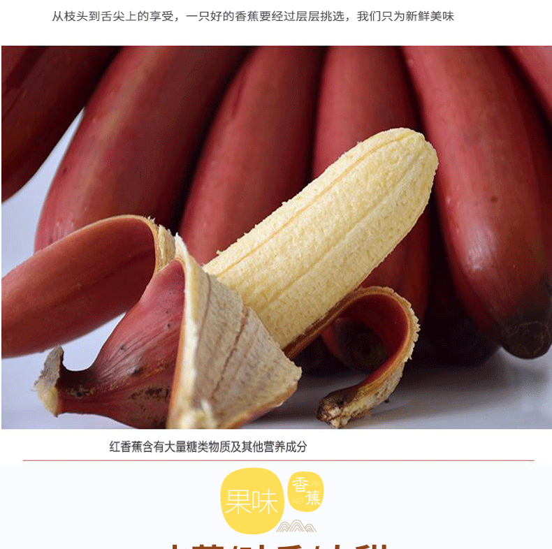 紅香蕉詳情圖片_02