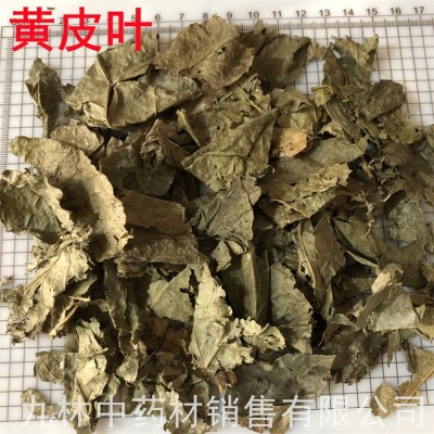 黃皮葉500克 中藥材 黃皮葉 黃皮果樹葉 黃樹皮葉 包郵