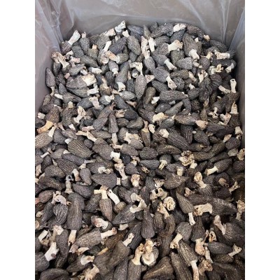 羊肚菌250克包郵批發干貨新鮮營養菌菇菇類