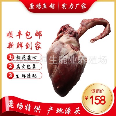 鹿心整個 鹿心粉 新鮮鹿心 鹿心正品