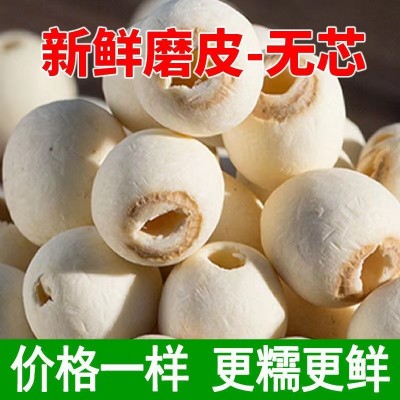磨皮無芯白蓮子干貨500g新貨小粒去芯磨皮白蓮湘潭湘蓮子批發