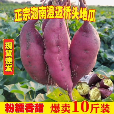 正宗海南澄邁橋頭鳴門金時地瓜新鮮番薯產地直銷農家沙地板栗署紅